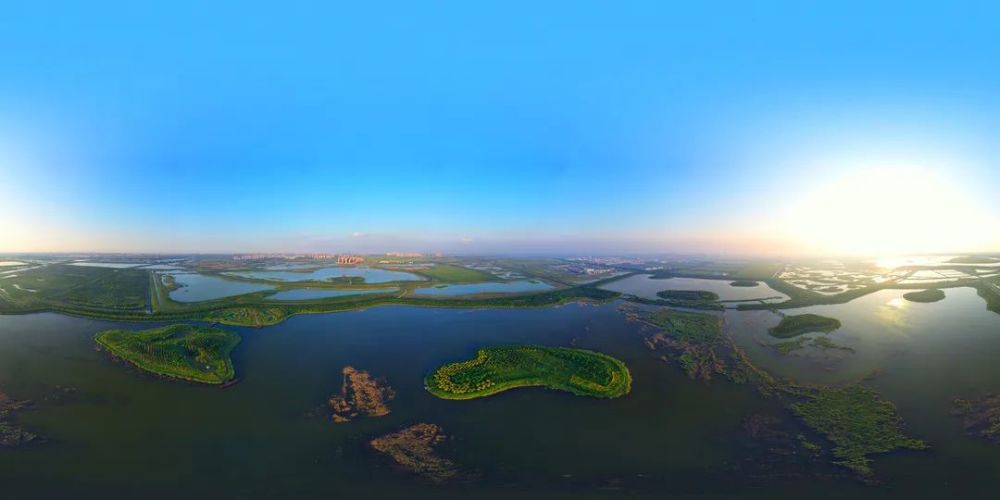 绿屏61八里湾美图来啦～_腾讯新闻