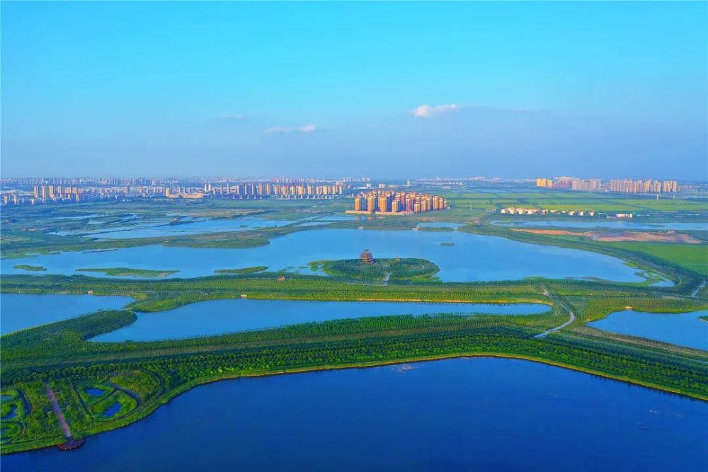 奋进的津南村美民富产业兴02乡村振兴展新景