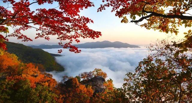 又是一年枫叶红!今秋本溪最佳赏枫地点大汇总,赶快收藏!_腾讯新闻