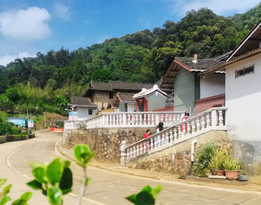 【哇塞】给南坑这个村点赞,颜值高!