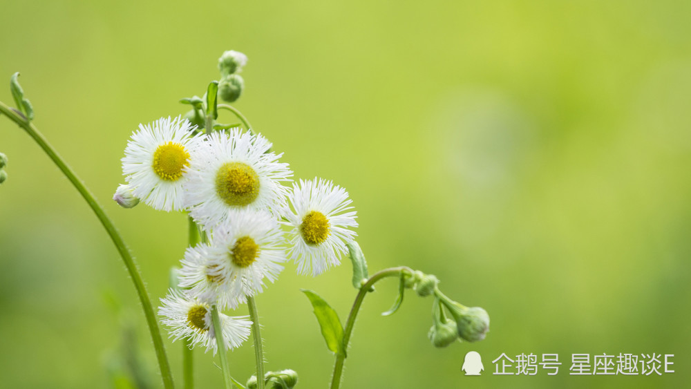 9月5日 11日星座运势 白羊座魅力十足 狮子细水长流 射手人缘不错 腾讯新闻