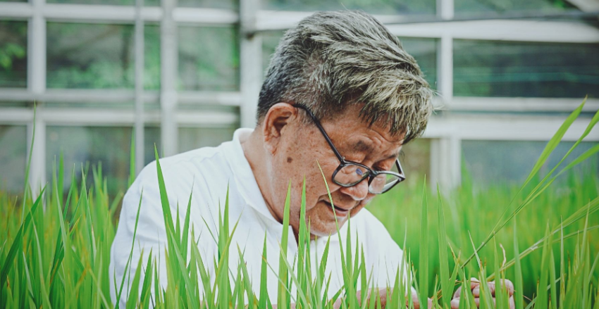 致敬科技创新者|姚海根:一腔报国情 毕生育良种