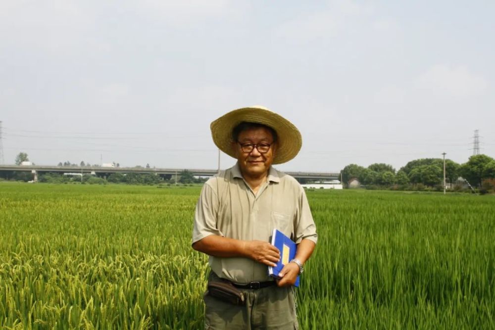 致敬科技创新者|姚海根:一腔报国情 毕生育良种