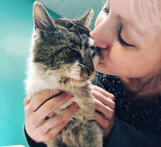 流浪猫车祸后被救,好心人偷偷亲吻它,猫:以身相许来报答你!