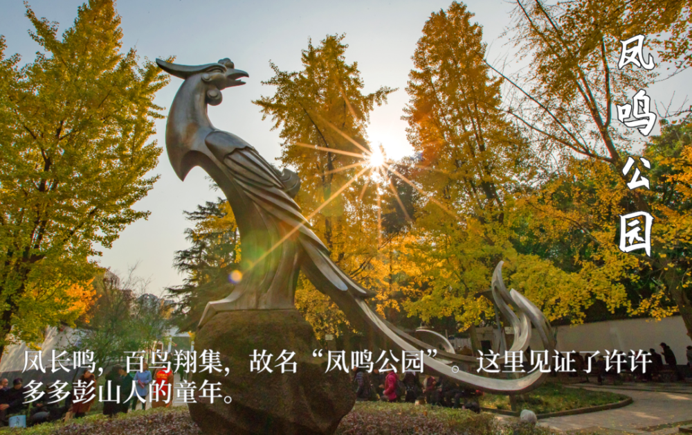 彭山十大"接头暗语",等你接招!