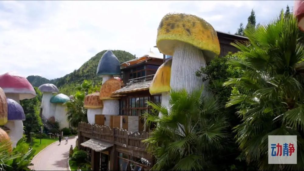 今朝更好看丨长在贵州黔西南山间的蘑菇竟是度假休闲好去处