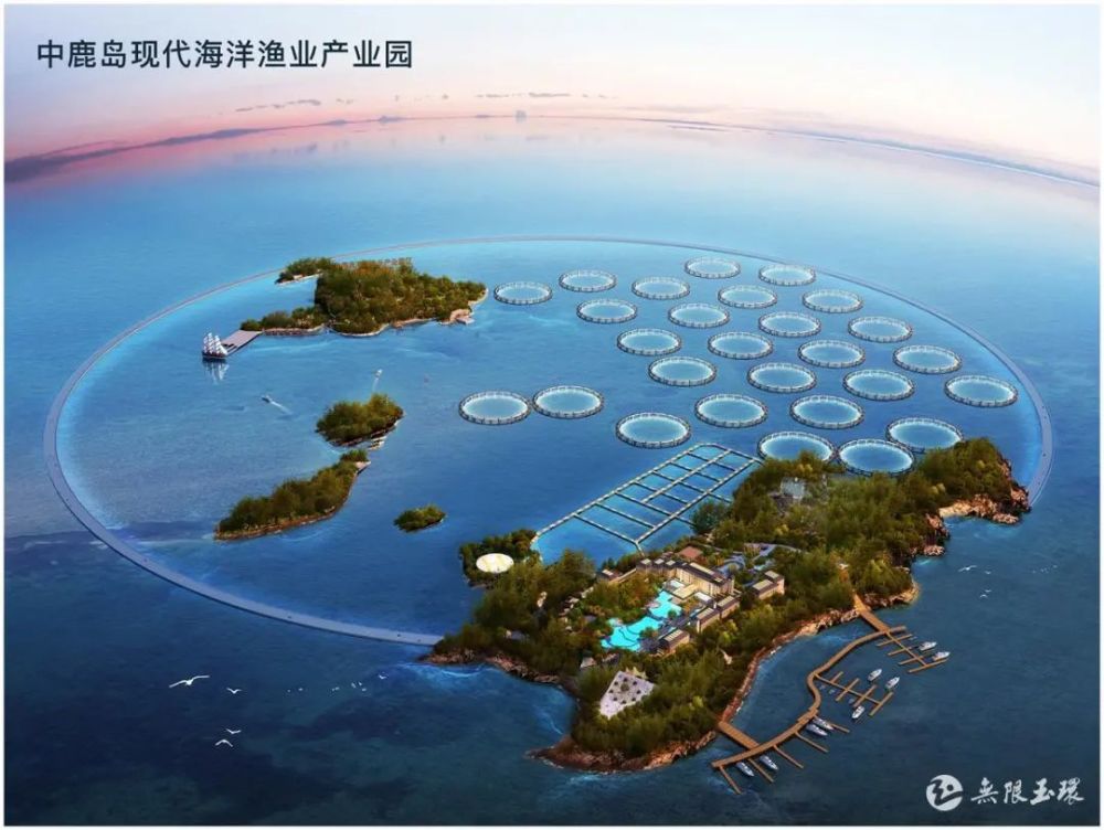 台州中鹿岛来了中国工程院院士是针对现代海洋渔业产业园