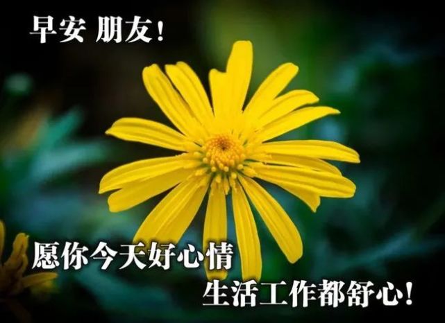 清晨早上好問候漂亮圖片溫馨祝福語,早安超暖心的祝福短信