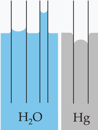 由于毛细管亲水,所以毛细管中的水柱更高并且是凹液面