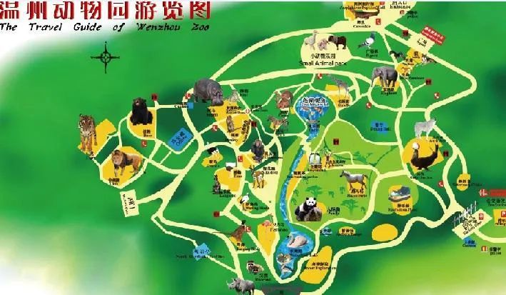 温州动物园的亚洲象,名叫"贝贝",是一位"80后",体重达3吨多,以谷物