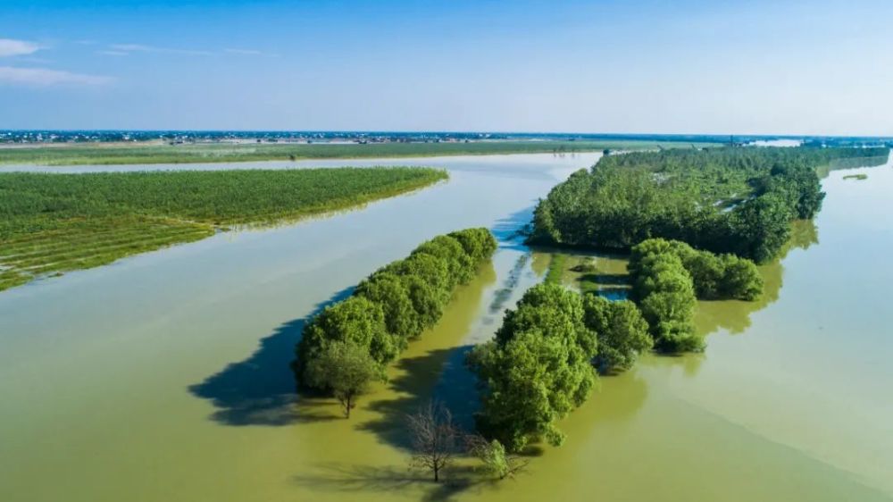 秋益正浓南洞庭湖湿地美不胜收