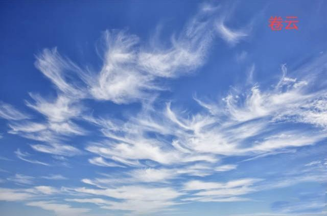 雲捲雲舒知多少