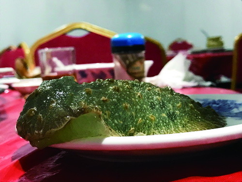 厦门中埔社养殖"海猪仔"往事