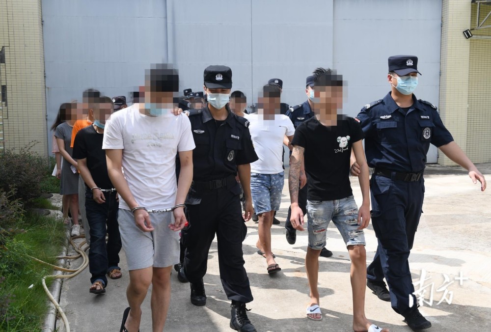 广东茂名化州近100警力清晨扫黄现场抓了24人