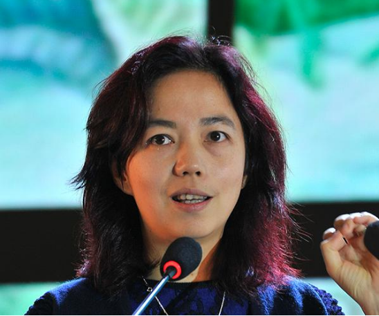 顶尖华裔院士李飞飞我若获得诺奖一定是以中国人的身份