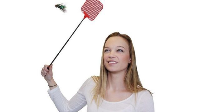 为什么用手很难打到苍蝇用拍子却很容易