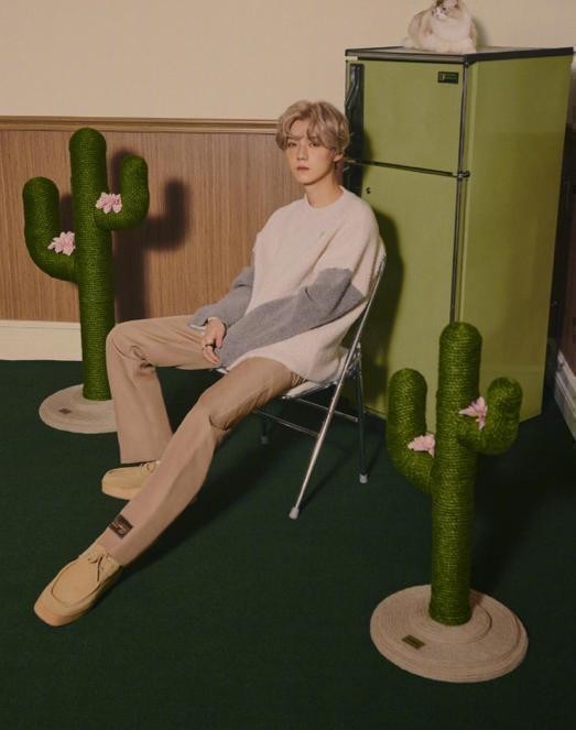 鹿晗早秋暖男穿搭上线复古穿搭文艺有格调氛围感满满