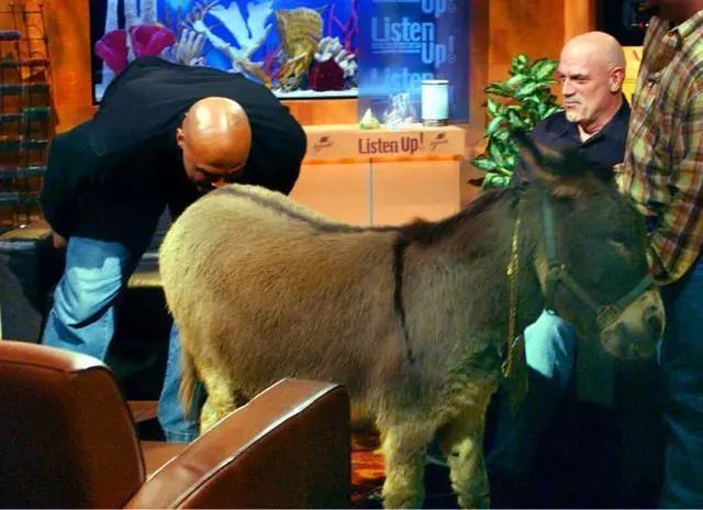 身上压力在那一刻转移到tnt直播间有人欢喜就有人忧当然都在为他