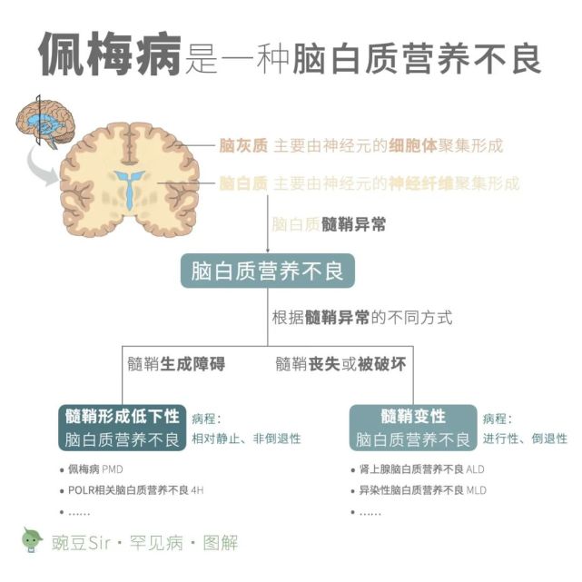 佩梅病:美丽名字背后的魔鬼|医者仁心