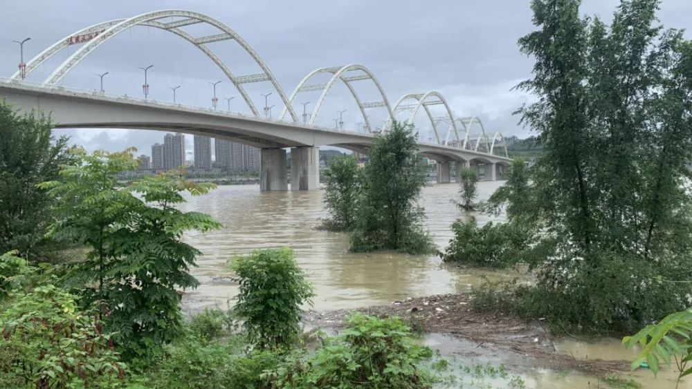 暴雨洪灾撤离安康明天暴雨继续