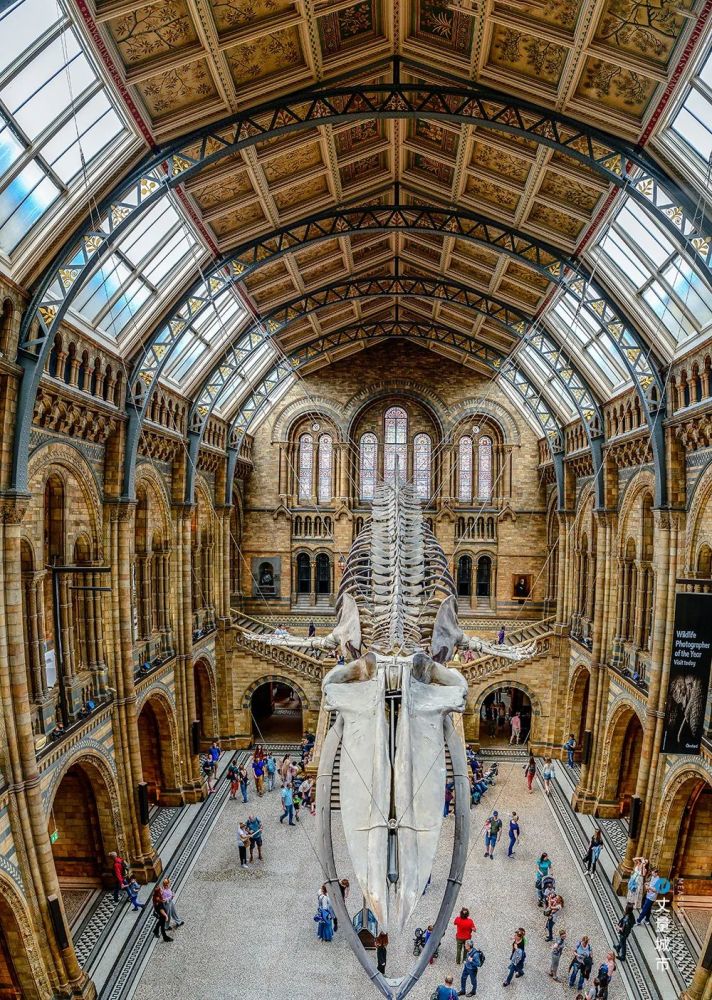 文博区的维多利亚和阿尔伯特博物馆伦敦最受欢迎的现当代艺术