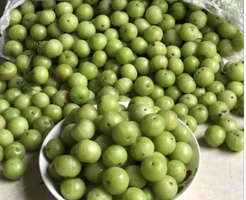 初时是绿色的,就像是小柑橘,而成熟了以后则会变成淡黄色,或者是赤