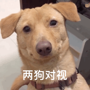 很好,这下明白了为啥结婚两年还没有孩子了!