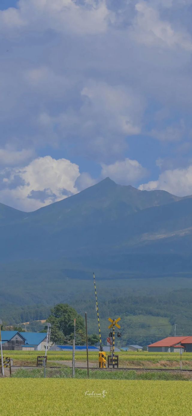 壁纸|我们的拍立得