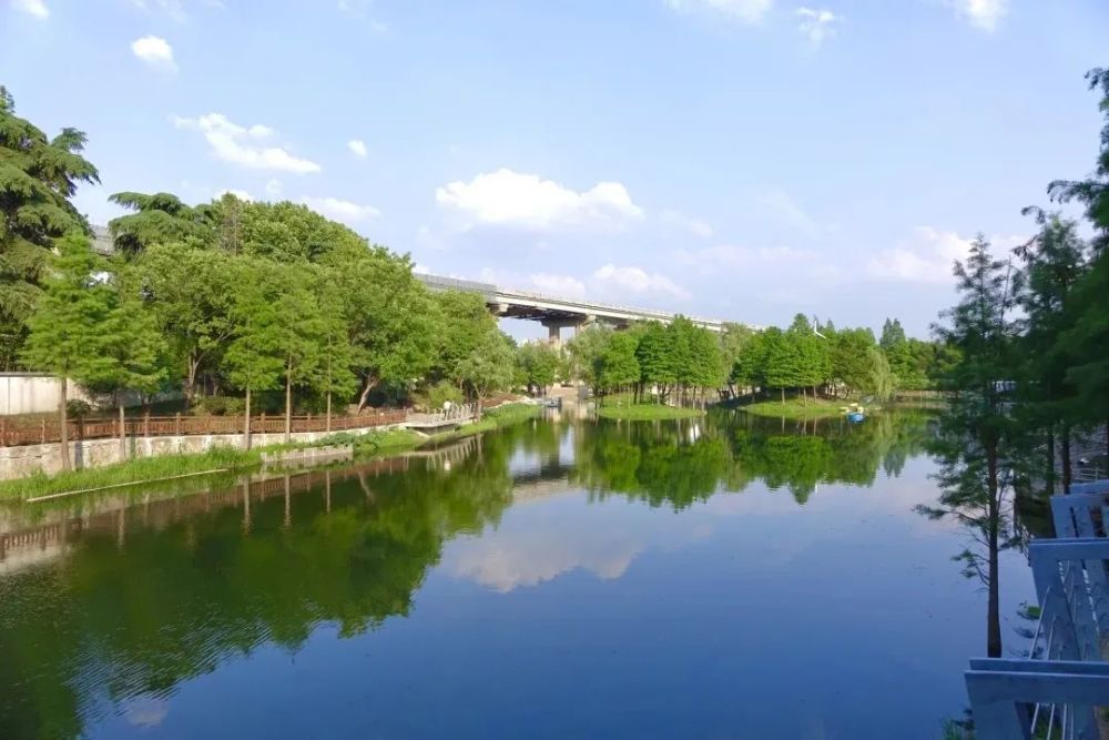 喜报!金川河整治案例入选全国城市黑臭水体治理优秀案例