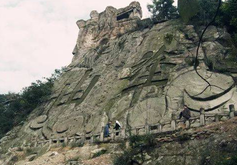 办公室墙脚的柿子树