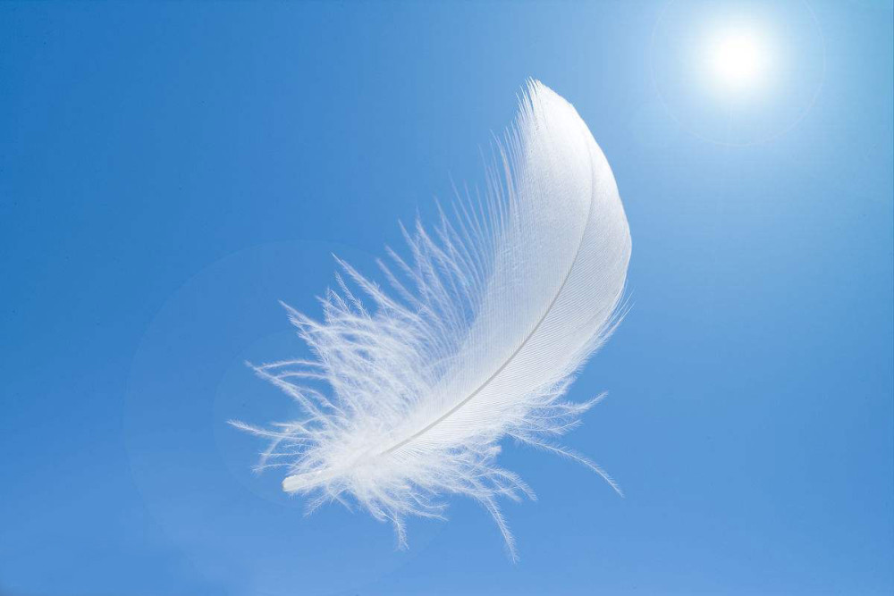 心理测试你觉得哪片羽毛最柔软测你的ta心里有没有装着你