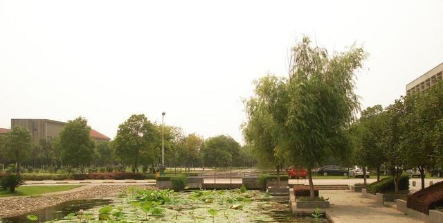 1977年,华中农学院荆州分院建立,后于1985年发展更名为湖北农学院.