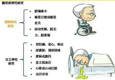糖尿病神经病变|糖尿病|中枢神经系统|糖尿病周围神经病变|脊髓|糖尿