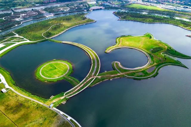 去處魚躍南上海這座金海湖畔的公園美貌與實力並存