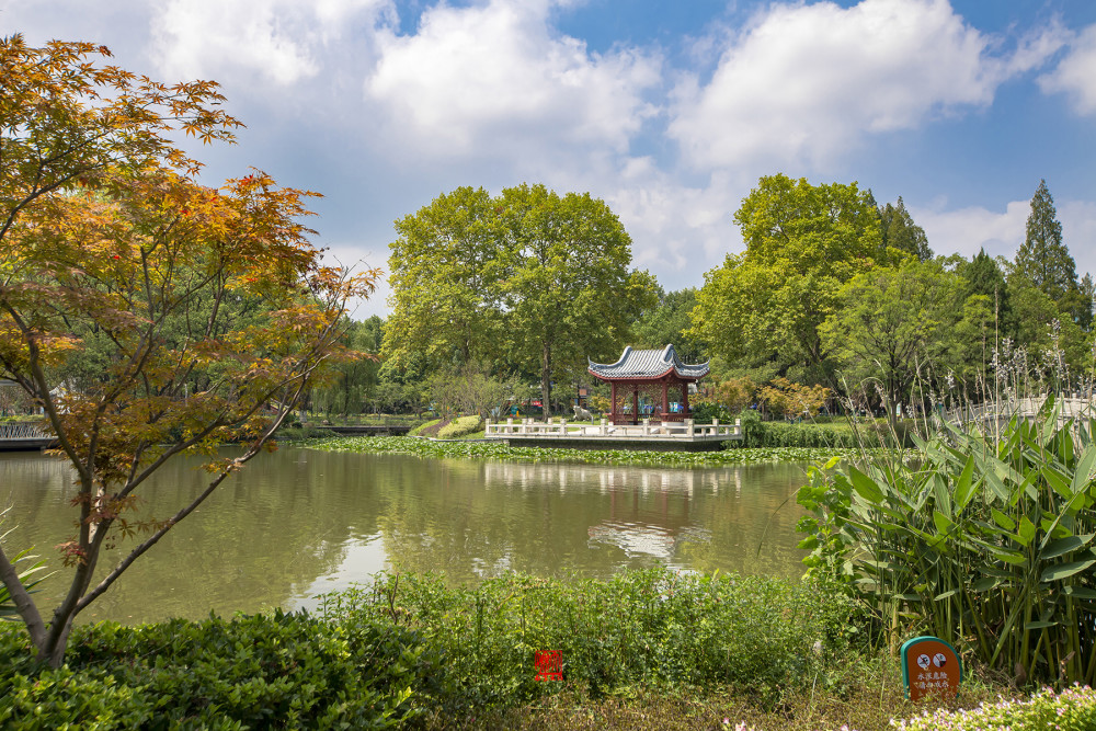 游玩建议一小时.详细地址:南京市浦口区宁港路与浦园路交汇处.