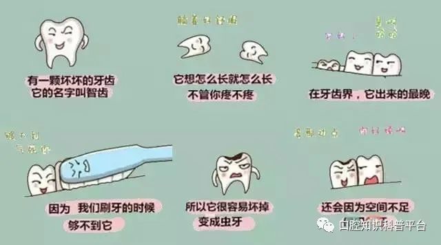 智齒為什麼長不出來?