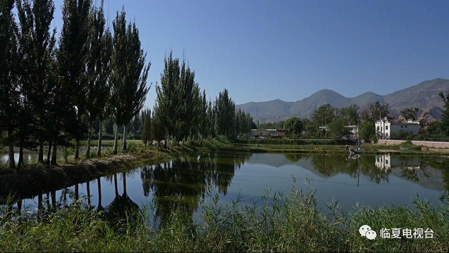 永靖县太极岛:黄河之畔的"塞上江南"