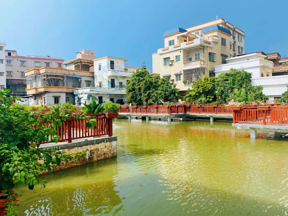 村民收入5年翻了30倍佛山西站后花园有颜有料善治星期二