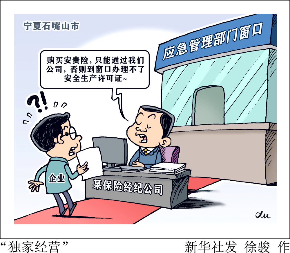 图表漫画新华视点国务院大督查在行动独家经营