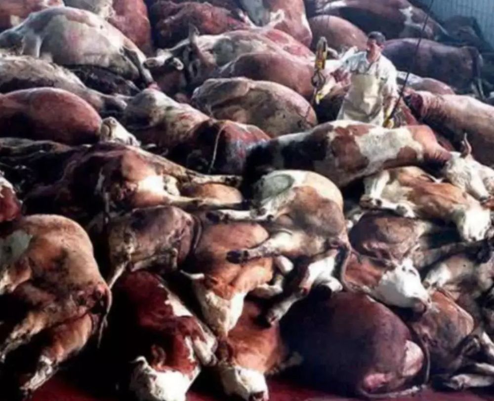 爱吃牛肉的你,需要注意些什么呢