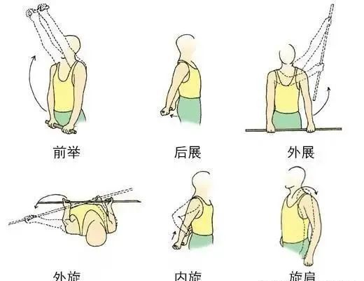 肩关节的活动状态包括:前屈,后伸,外展,内收,内旋和外旋