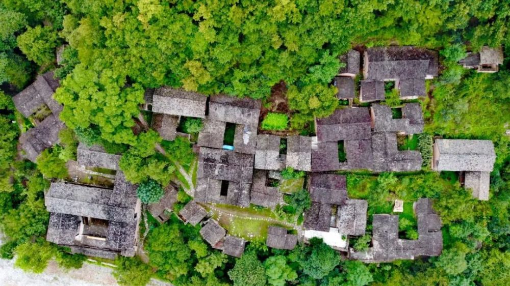 『  陇南市武都区琵琶镇张坝古村  』