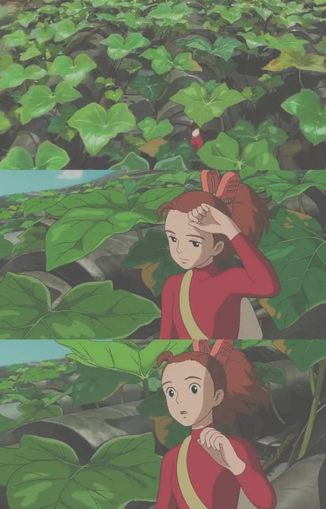 宫崎骏之借东西的小人阿莉埃蒂动漫头像壁纸