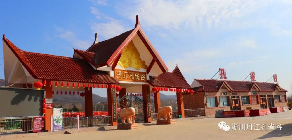 丹江孔雀谷正式恢复对外开放免门票入园