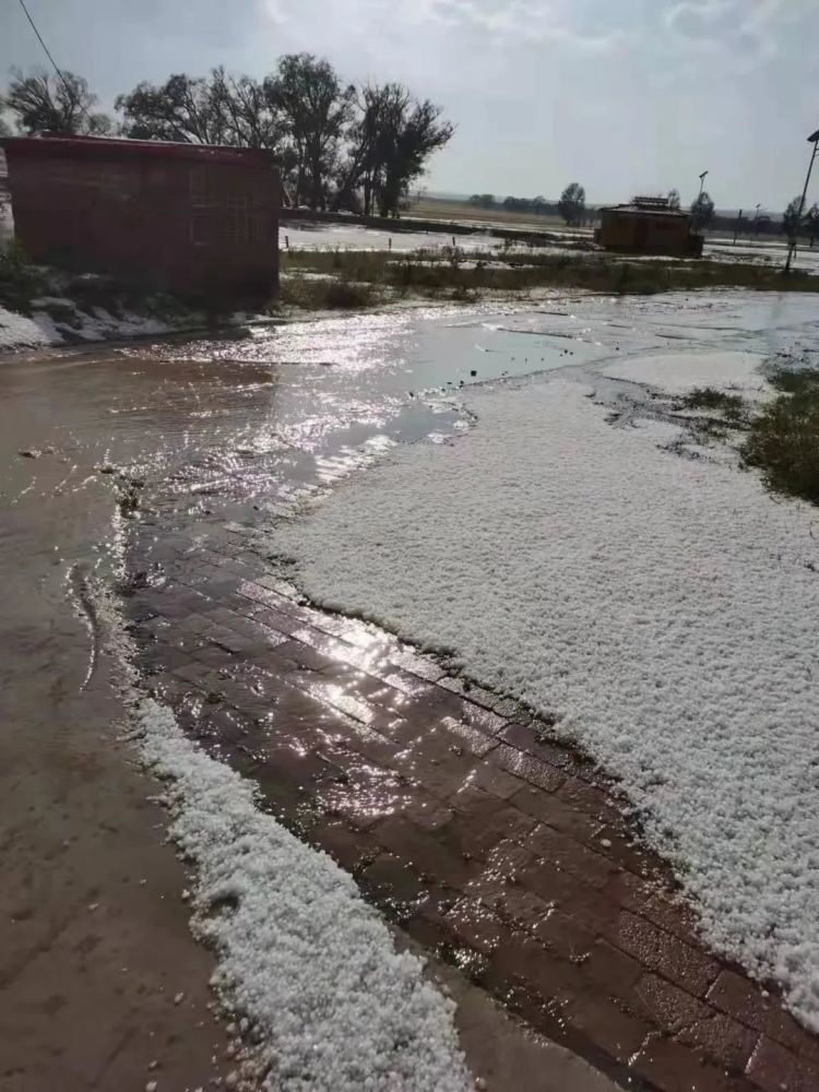 张家口坝上又遭冰雹袭击!