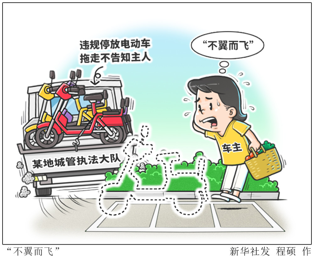 (图表·漫画)【新华视点·国务院大督查在行动】"不翼而飞"