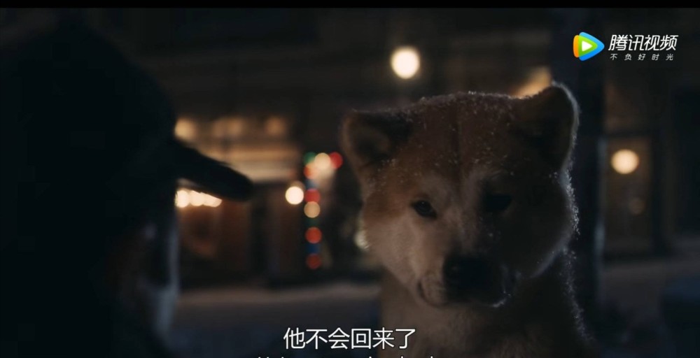 《忠犬八公的故事》是改编自真实故事的:八公的主人是东京大学的教授