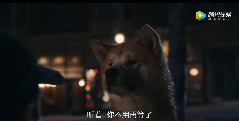 忠犬八公的故事爱是永恒的纪念