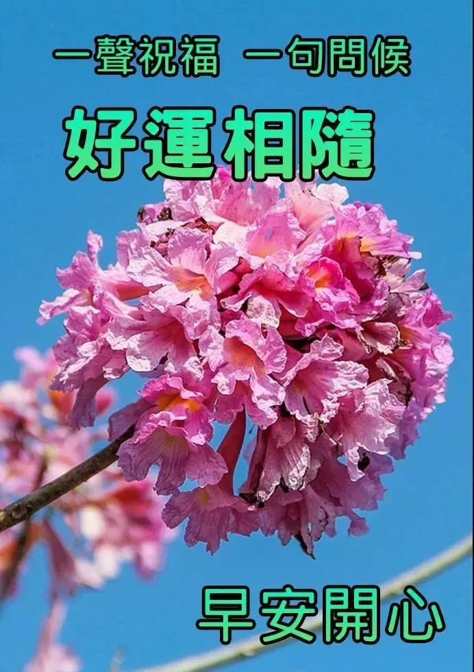 早上好朋友清晨早上好問候祝福動態表情圖片早安問候語及暖心的話