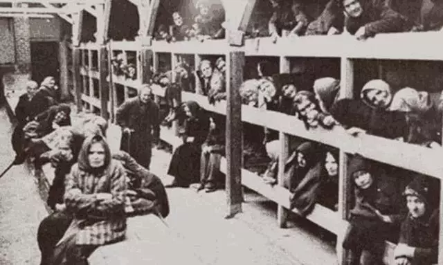 称为人间地狱的纳粹集中营到底有多恐怖杀人方法让人吃不下饭